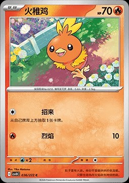 Torchic (CSV10C 036)
Chasing Glory Together
