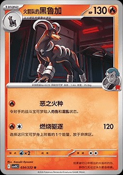 Team Rocket's Houndoom (CSV10C 034)
Chasing Glory Together
