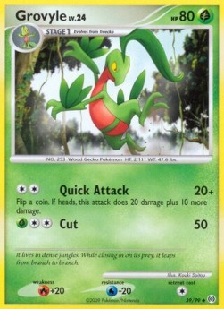 Grovyle Lv.24 (AR 39)
Arceus