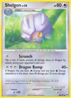 Shelgon Lv.34 (AR 48)
Arceus