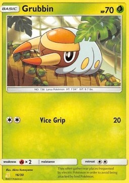 Grubbin (TK10 A16)
SM Trainer Kit: Lycanroc & Alolan Raichu