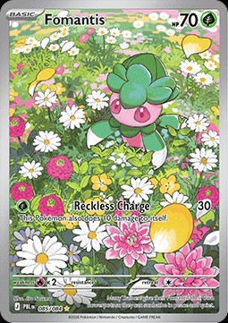 Fomantis (PBL 085)
Pitch Black