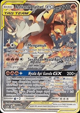 Reshiram & Charizard GX (AC3 b209)
Tag Team Collection