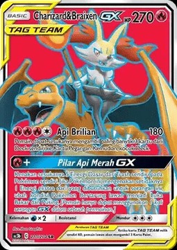 Charizard & Braixen GX (AC3 b210)
Tag Team Collection