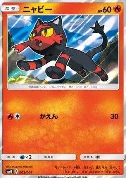 Litten (sm0 002)
Pikachu's New Friends