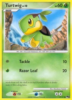 Turtwig Lv.10 (POP8 17)
POP Series 8