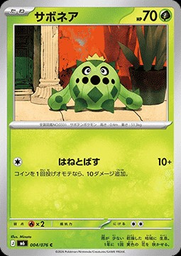 Cacnea (m6 004)
Storm Emeralda
