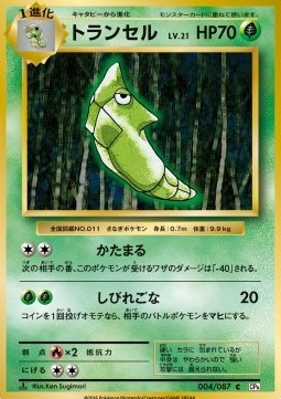 Metapod (CP6 004)
Expansion Pack 20th Anniversary