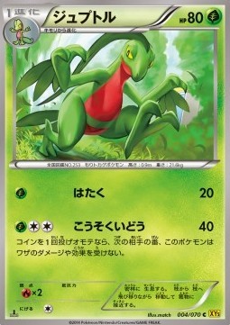 Grovyle (XY5g 004)
Gaia Volcano