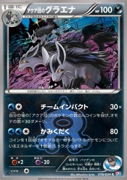 Team Aqua's Mightyena (CP1 018)
Magma Gang VS Aqua Gang: Double Crisis