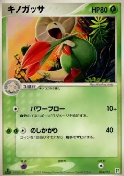 Breloom (pcgG G004)
Quick Construction Packs