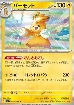 Pawmot (sv1V 036)
Violet ex