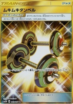 Bodybuilding Dumbbells (sm3h 063)
To Have Seen the Battle Rainbow