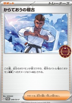 Black Belt's Training (SV-P 249)
Scarlet & Violet Promos