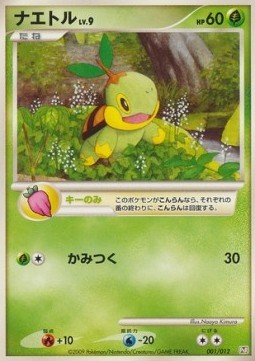 Turtwig Lv.9 (PtR 001)
Regigigas LV.X Collection Pack