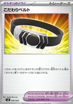 Choice Belt (svB 006)
Premium Trainer Box ex